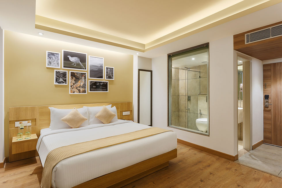 Super Deluxe Room with No View
