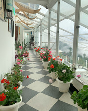 The aisle leading to our bar