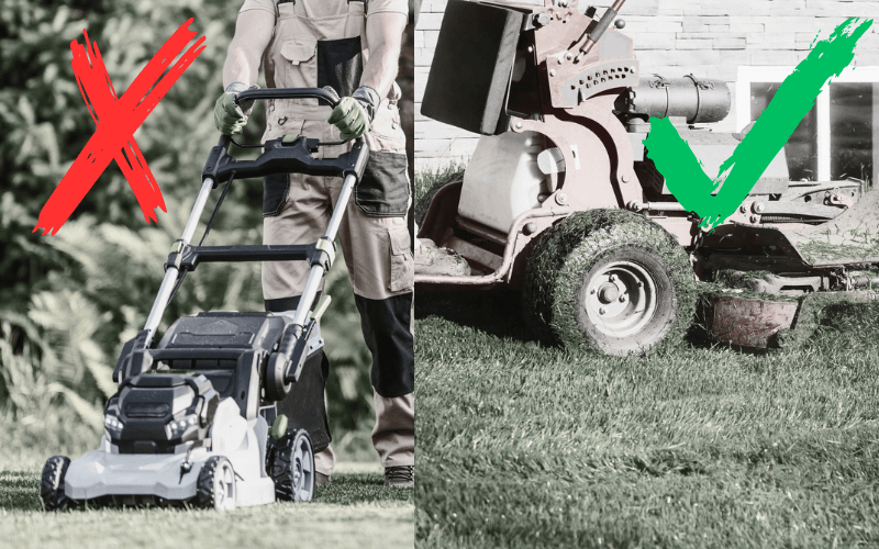 Our Niche Agency's Expertise in Using Correct Photography on Client Websites