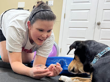 Canine Rehabilitation