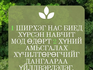 1ш модны хүч