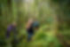 Liz Dawes Forest Bathing-49.jpg