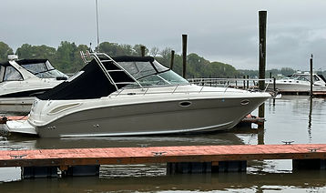 SeaRay 290.JPEG