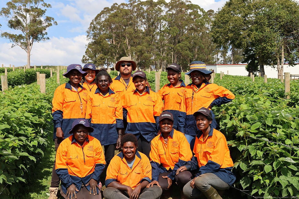 Bougainvillean PALM workers in Australia