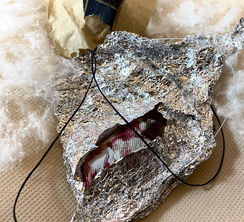 Sofia Tejeda Gonzales - Clase 26-04 Materiales.jpg