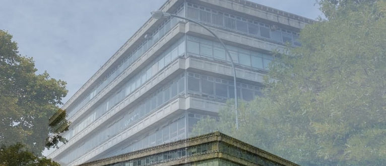 laurutis sol - ej 2.jfif