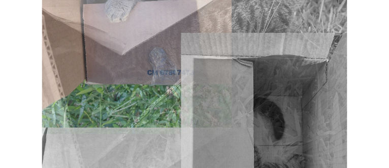 OTERO CASTRIOTI Lola - 1.jpg