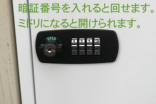 IMG_0137.jpeg