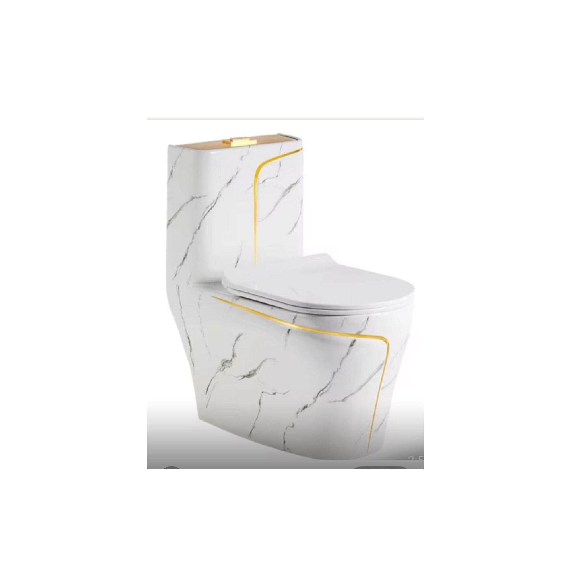 Dual Flush Toilet 16in White/Gold with soft close seat & water saving technology