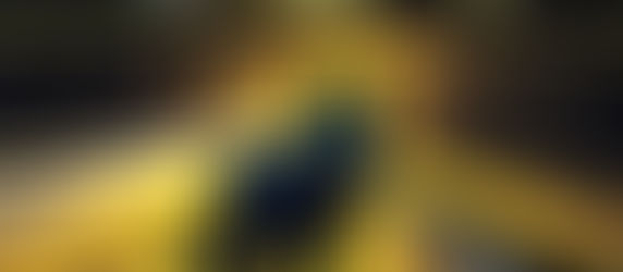 TRUCKERS' BLACK WOLF LEGEND