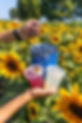 lemonades and blueberries from the farm