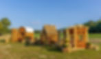 Pumpkin Town at Dalton Farms.jpg