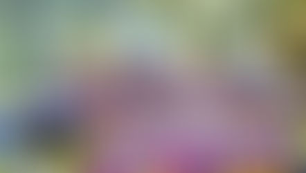 青葉区民まつりと都筑区民まつりに本学園が出展&運営で参加しました！