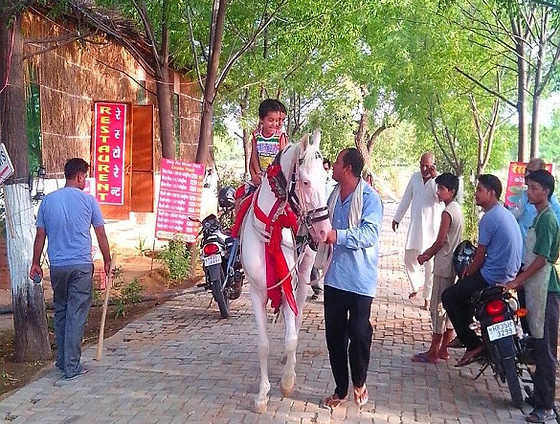 Horse Riding