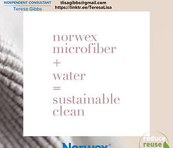 Norwex Logo_ A Referendum Affair 2026 (1).jpg