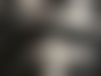 Les études littéraires, une espèce en voie de disparition ?