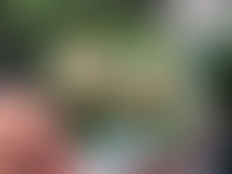 Les citrons étaient restés trop longtemps au frigo