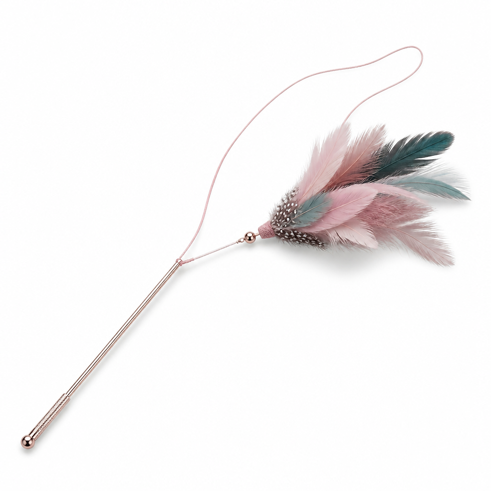 Feather Wand Teaser