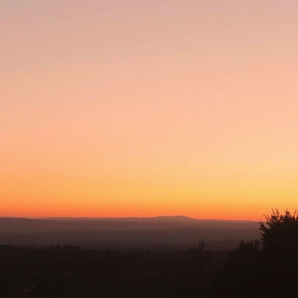 plain light orange pastel color.jpg