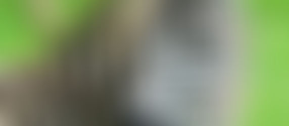 Südafrika und Mozambique 2019