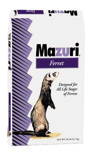 Thumbnail: Hurones                         (Ferrets)
