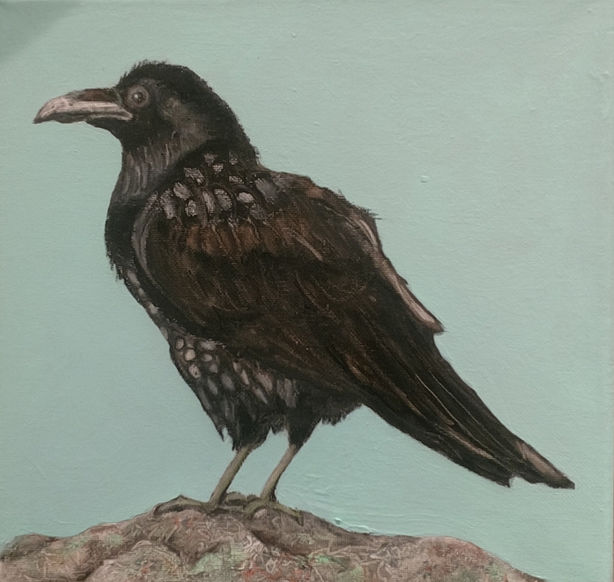 Raven On Rock #1