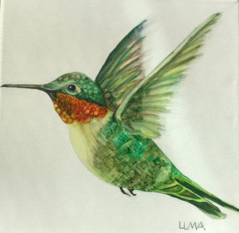 Hummingbird #1