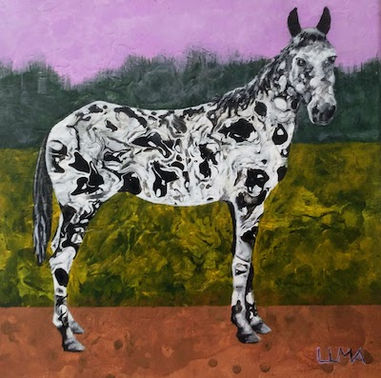 Appaloosa 1