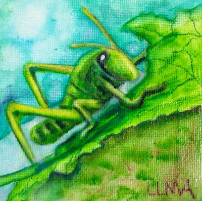 Grasshopper