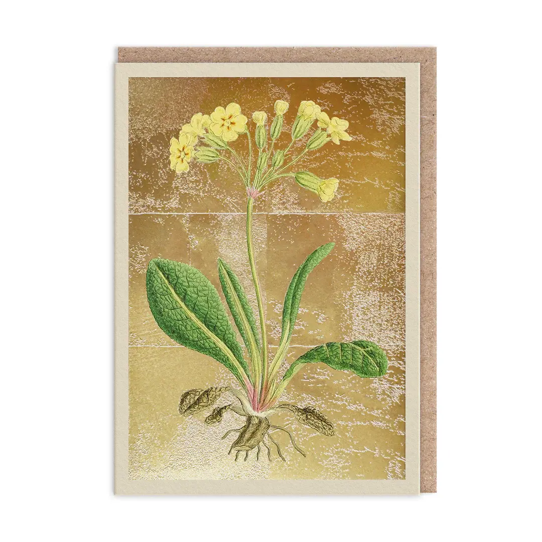 Cowslip Greeting Card