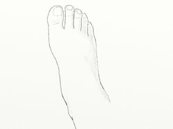 A Foot