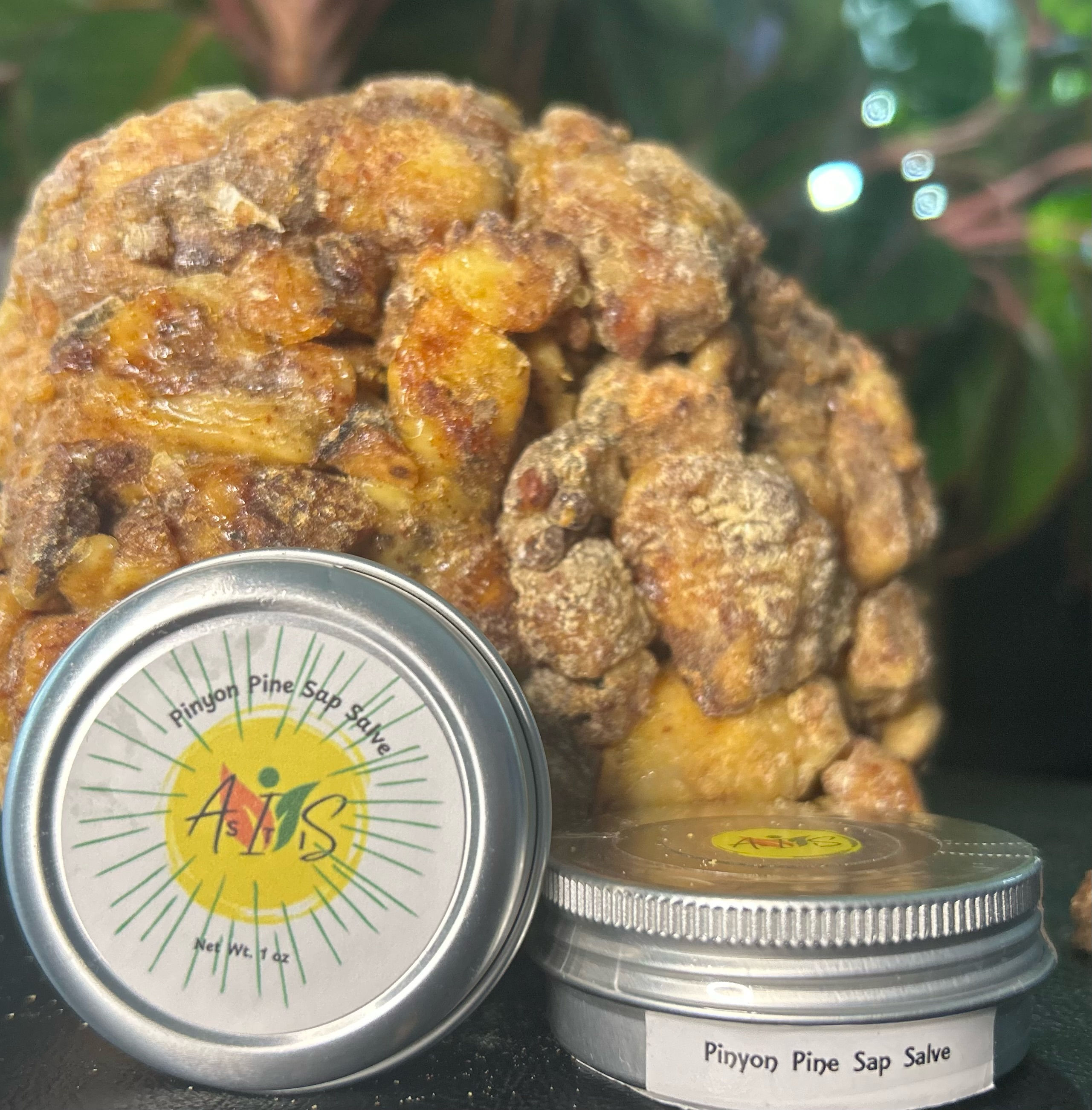 4 oz Pinyon Pine Sap Salve