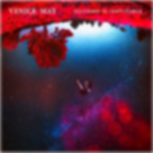VM Cover (square)_blurred edges.png