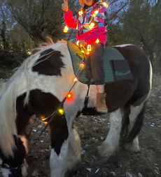 Pferd mit Lichterkette