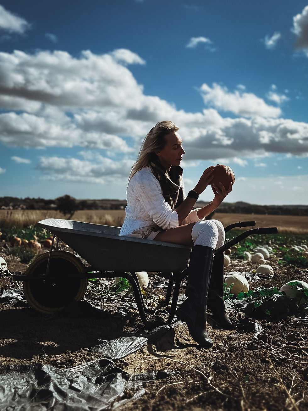 Woman sitting in a wheelbarrow holding a pumpkin on a sunny autumn day at Farmer Copleys pumpkin field in Pontefract.