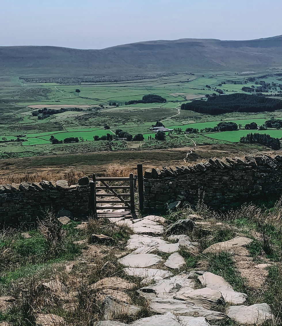 Beautiful summer day scenery from the Ingleborough, Yorkshire Dales peak