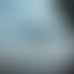 The Wellness Wheel: A Holistic Approach to Personal Growth