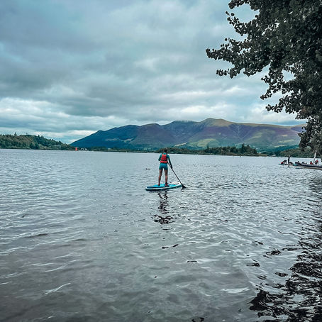 The Wellness Wheel: A Holistic Approach to Personal Growth