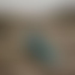 Step into Serenity: How Hiking Enhances Mind, Body, and Soul