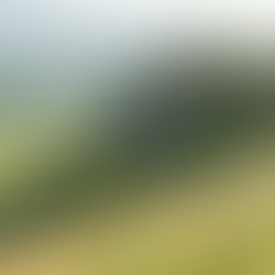 Mindfulness and Technology: Navigating the Balance Between Accessibility and Integrity