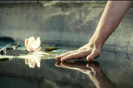A l'image du Lotus...