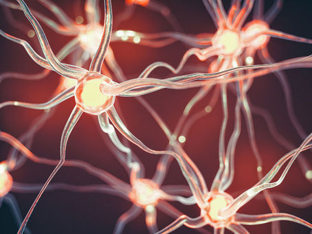 神經電生理檢查的二三事：神經解剖學與生理學