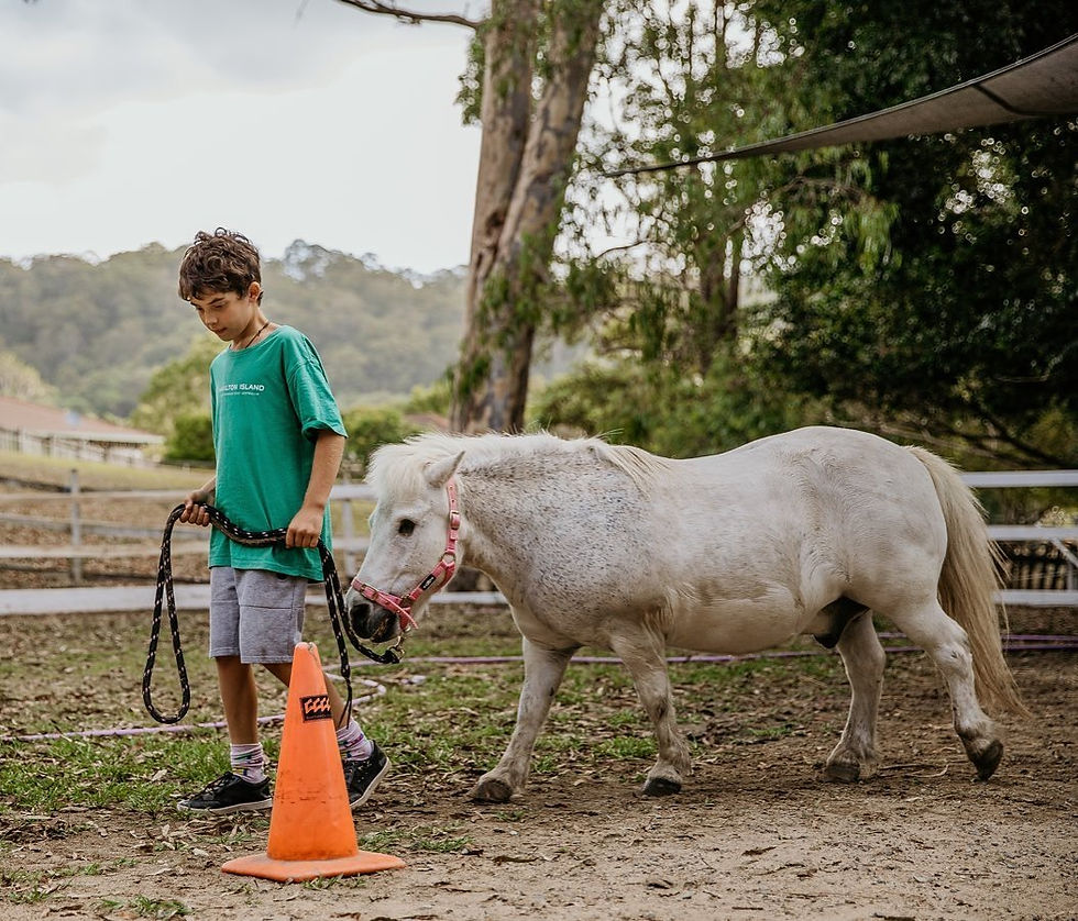 participant-with-horse.jpg