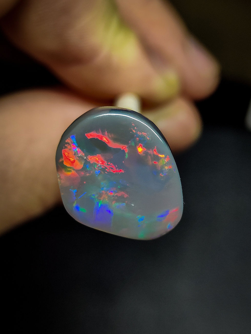 Magnifique et grande Opale sombre d'Australie , Lightning Ridge, avec des feux r