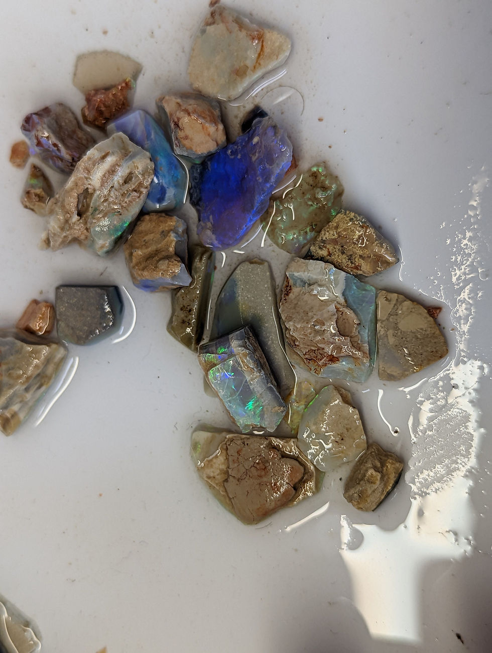 Miniature : 162 carats d'opales brutes d'Australie de Lightning Ridge