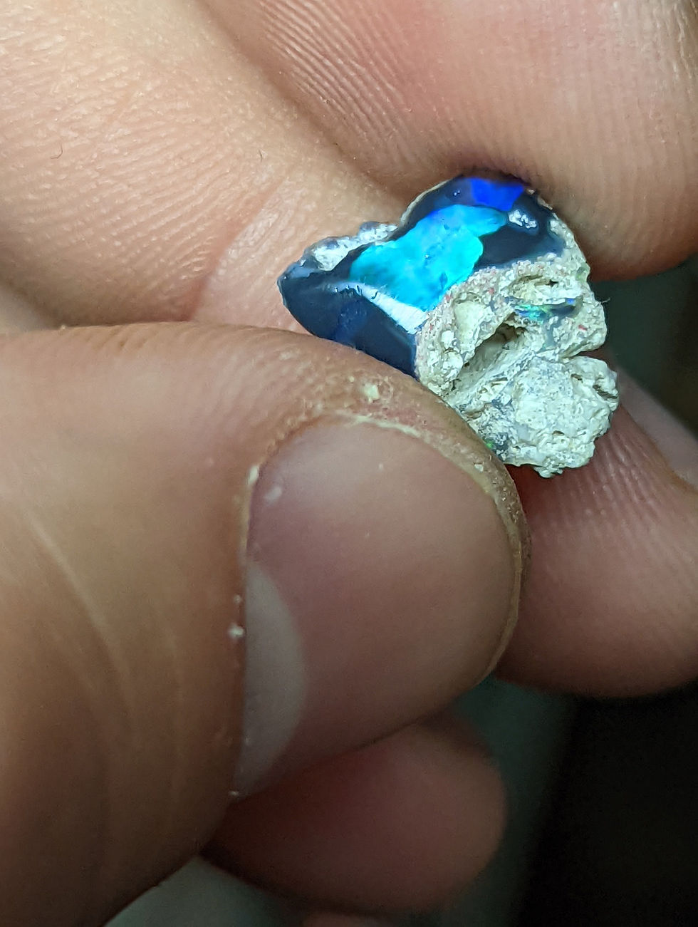 Miniature : Petit fossile avec opale noire d'Australie , Lightning Ridge, 2  carats
