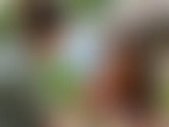 Indigene Dörfer respektvoll besuchen in Panama