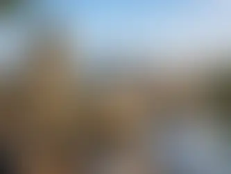 Panama City Historical Tour Worth Taking