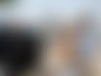 Private Airport Transfer Panama: What to Expect