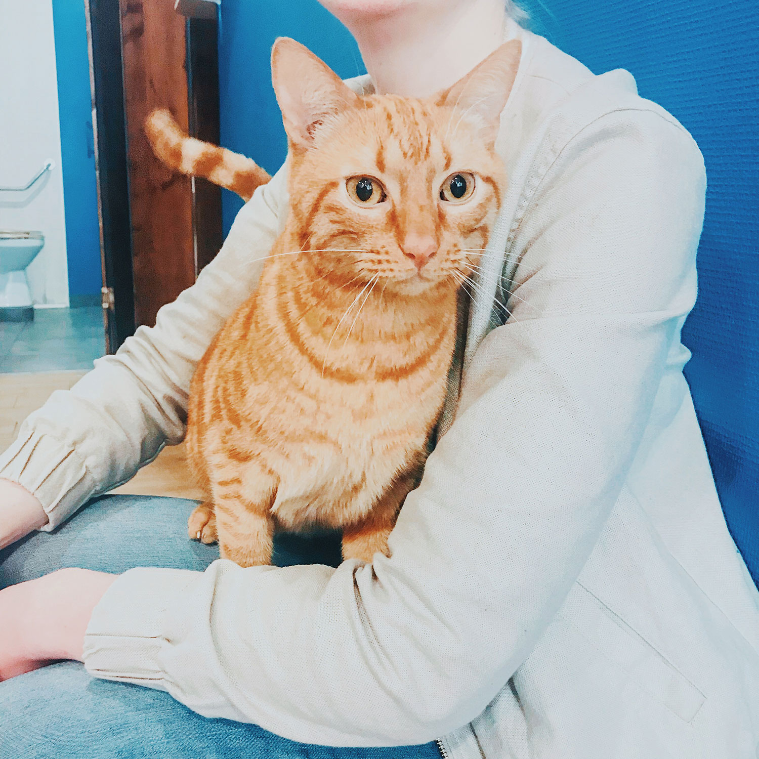Garfield